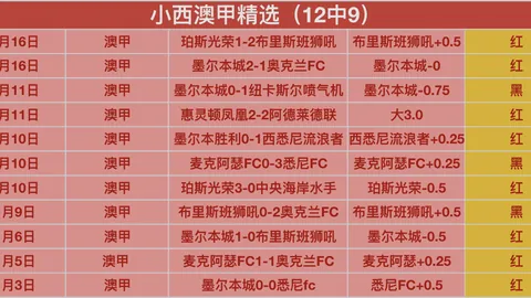 国际足坛风向标：青岛海牛瞄准32岁罗马尼亚传奇球星伯卢策加盟！